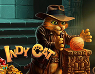 インディー・キャット